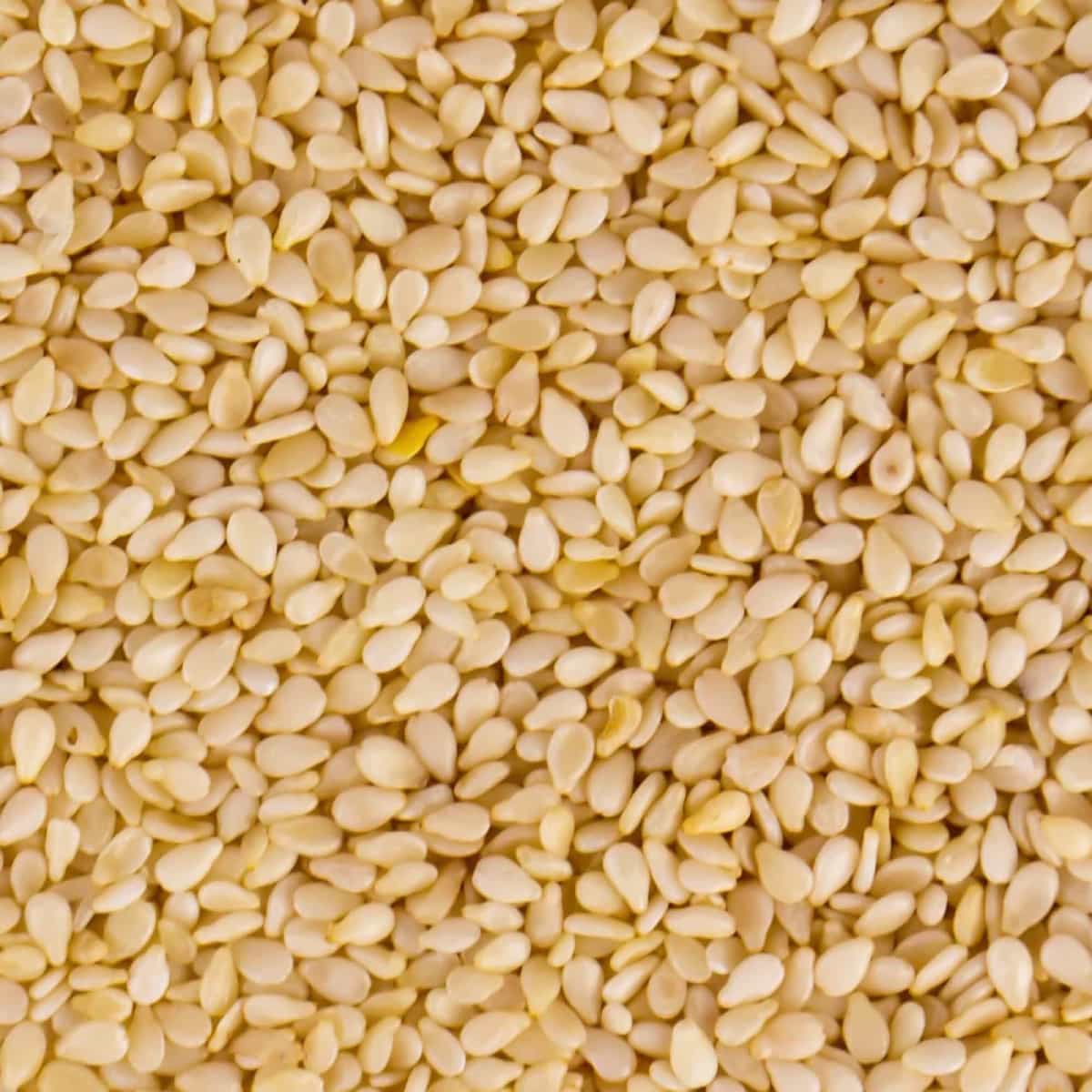 sesame-nutrition-benefits-nutritional-value-and-important-facts