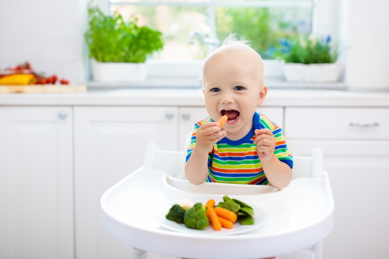 Role of Nutrition in Promoting Physical and Cognitive Growth